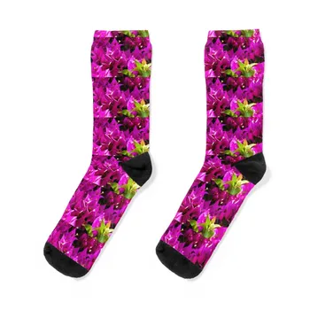бугенвиллея длинная, цветок, раскрывающийся навстречу солнцу, Носки Оптом дизайнерские мужские носки Женские